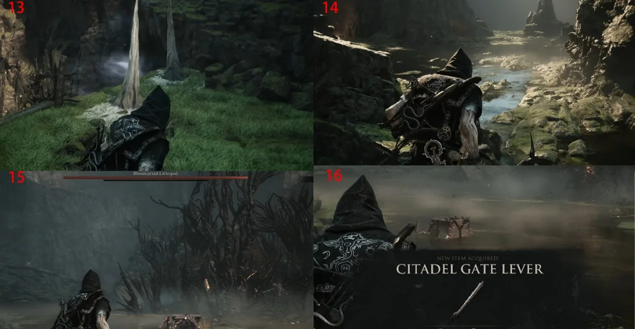 Citadel Gate Lever obtained